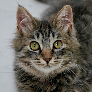 ママと一緒に新たなご家族ができました♪