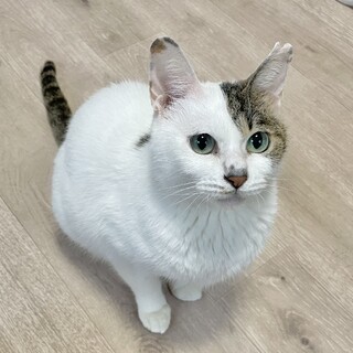 人が大好きスリゴロ女の子