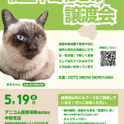 5/19(日)能登半島ねこの譲渡会@アニコム損保中部支店