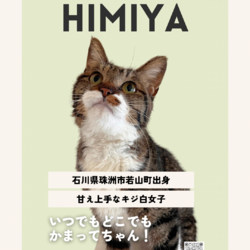 5/19(日)能登半島ねこの譲渡会@アニコム損保中部支店 サムネイル3