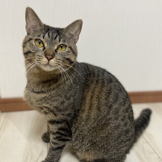 【5/12東銀座】ジジちゃん★10ヵ月♪