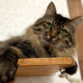 ゴージャスなイケメン男子！