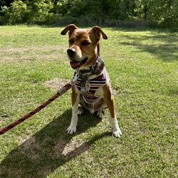 「Jとのキャンプ日記」サムネイル2