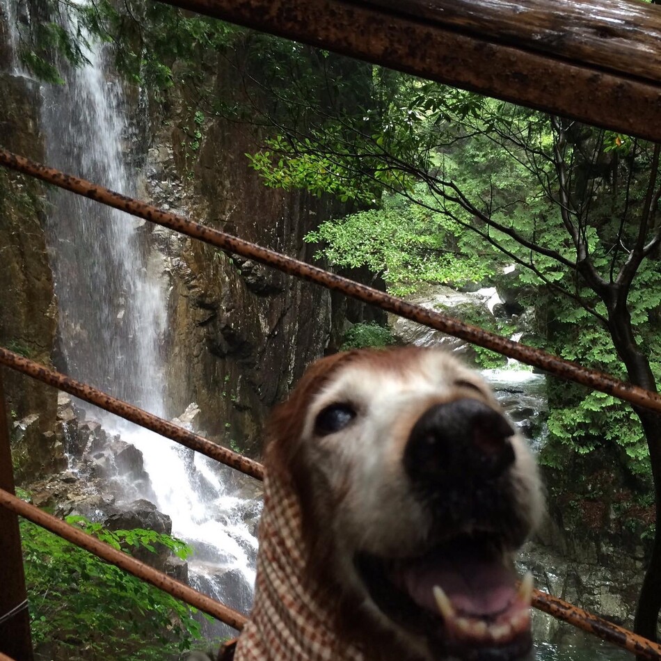 栞のカバー写真