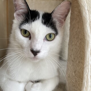 【6/9東銀座】タラくん８ヵ月♪