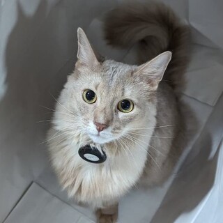 幸せにしてください