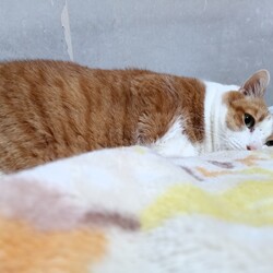 「ビビりないくら」サムネイル1