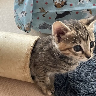 お嬢タイプ★めぇちゃん★活発女子