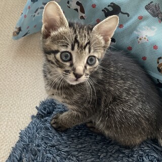 おっとり★たかちゃん★のんびり