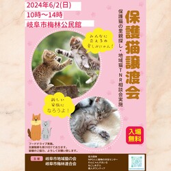 岐阜市保護猫譲渡会
