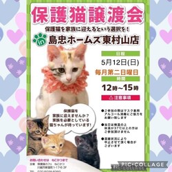 5月12日(日)島忠HOME'S東村山店譲渡会！