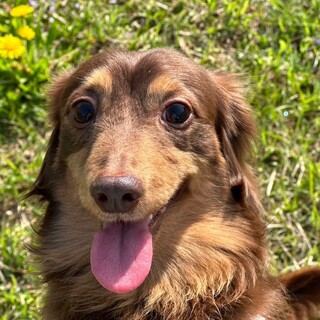 とっても元気で甘え上手な男の子♡