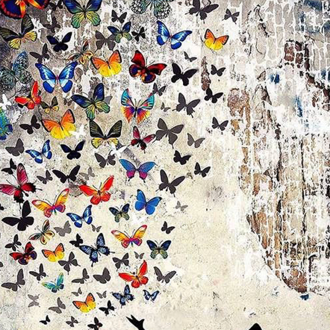 cobakotamatebakoのカバー写真