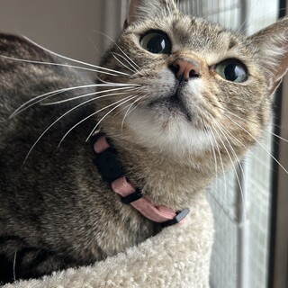 穏やかで可愛いお顔の姫ちゃん