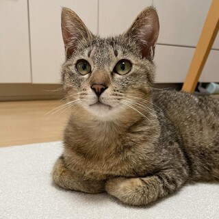 甘えん坊までもう少し♪陽キャラ男子