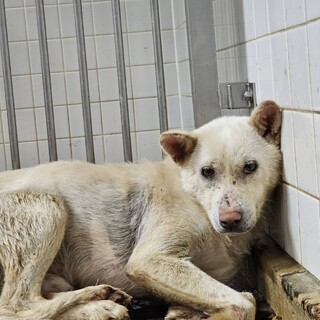 同じ地域からの捕獲続いてます❗️男の子❗️