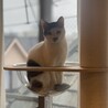 お見送り
