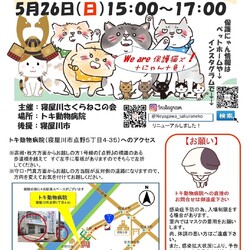 保護猫譲渡@寝屋川 サムネイル1