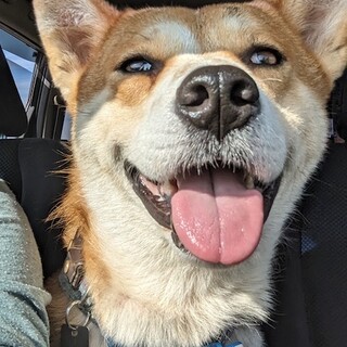 怖いことも頑張るシニア男子フレック