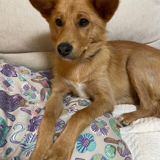 ジェニー　女の子