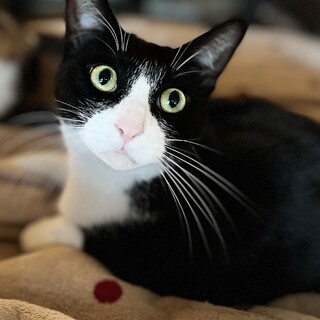 ナデナデ大好き甘えん坊♪ミロ君