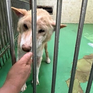 ありがとうございました！