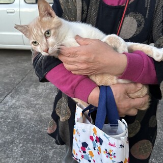 人が大好きな甘えん坊君