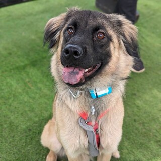 活発で明るいペコちゃん