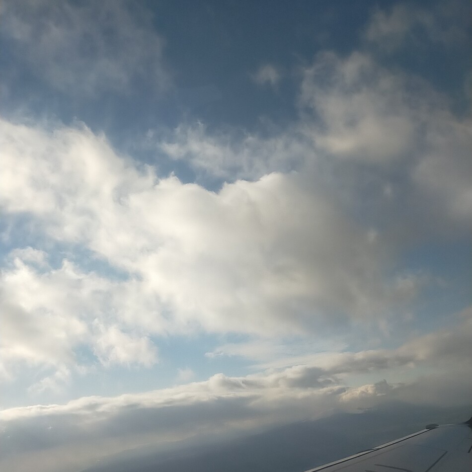 レイルのカバー写真