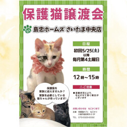 5/25（土）島忠ホームズさいたま中央店保護猫譲渡会
