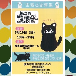 あすねこ会譲渡会 サムネイル1