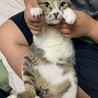お腹の柄です