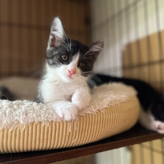 5/19千葉ෆ⃛好奇心旺盛ですෆ⃛ぐみちゃん