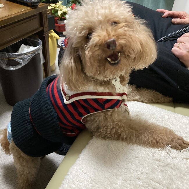 tanda3256のカバー写真