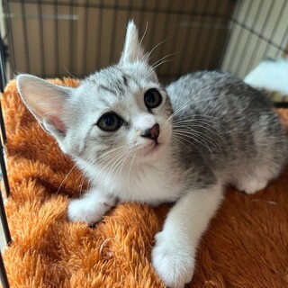 5/19千葉ෆ⃛おてんば女子ෆ⃛あめちゃん