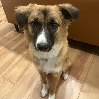 愛される事間違えなしのがんもくん‼︎