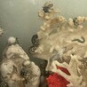 オカヤドカリ 500匹 サムネイル3