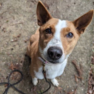 人懐こいナキータちゃん❤️