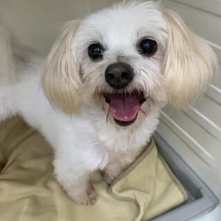 人が大好き甘えん坊♡きらりちゃん8歳