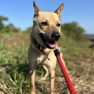 元気いっぱいの男の子「まーちゃん」