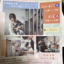 たきちみさと写真展「老犬猫と、ひと」