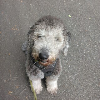 優しく根気のある方募集します
