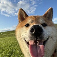 貞春