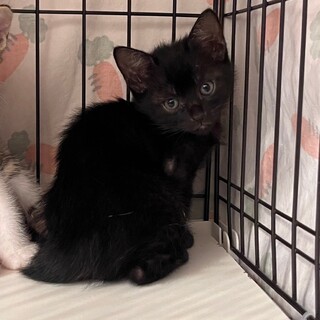 ベビちゃんから産まれたマリンくん！