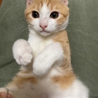 人間ダイスキ！スリゴロさんふじちゃん