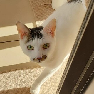 性格の良い男の子