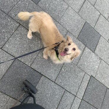の写真