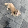 の写真