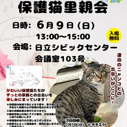 ひたちまちにゃか保護猫里親会