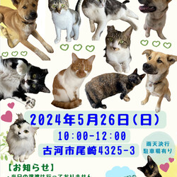 保護犬猫☻譲渡会 @古河市